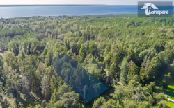 Rannametsa põik 7 kuulutus advert link